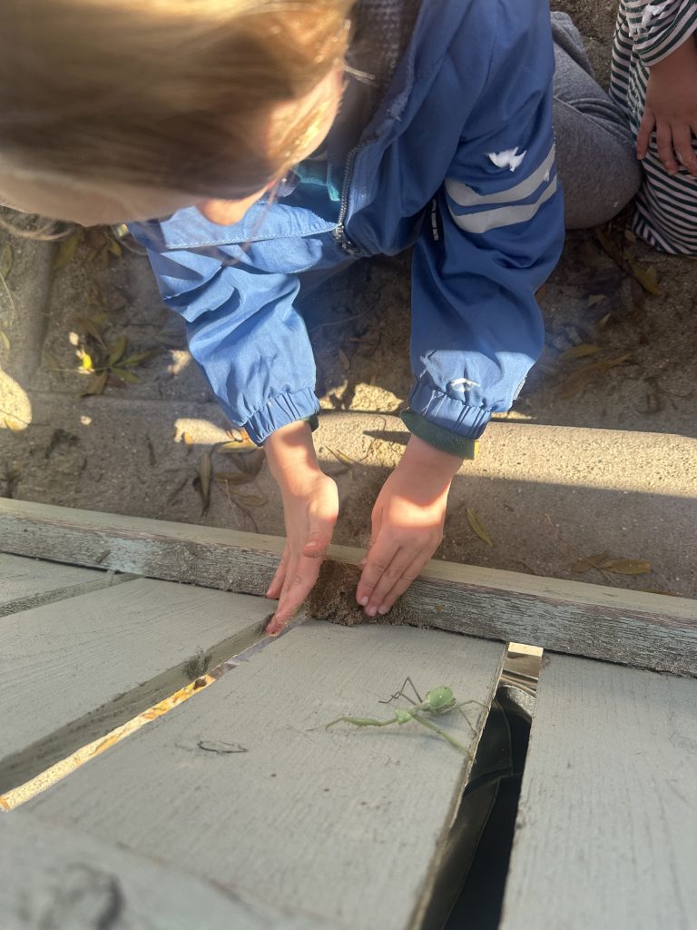 Gan Haverim Preschool Gan Haverim Preschool